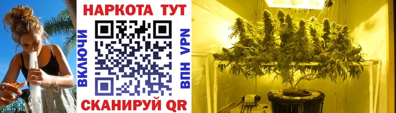 Купить закладку ГАШИШ  Конопля  Галлюциногенные грибы  АМФ  Меф  A-PVP  Лянтор