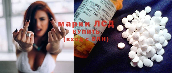 ГАЛЛЮЦИНОГЕННЫЕ ГРИБЫ Заволжье