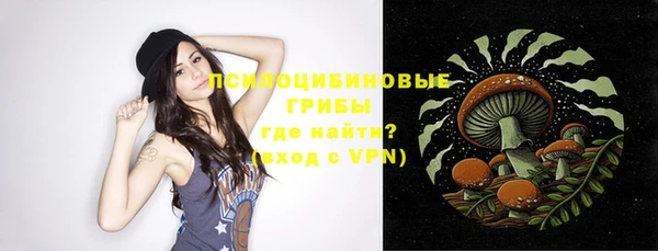 ГАЛЛЮЦИНОГЕННЫЕ ГРИБЫ Заволжье