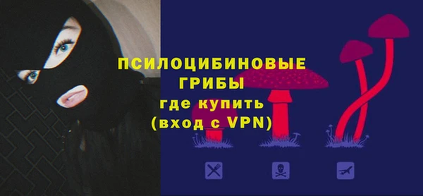 a pvp Заволжск