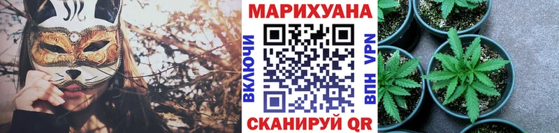 Конопля сатива  Купить где  Лянтор 
